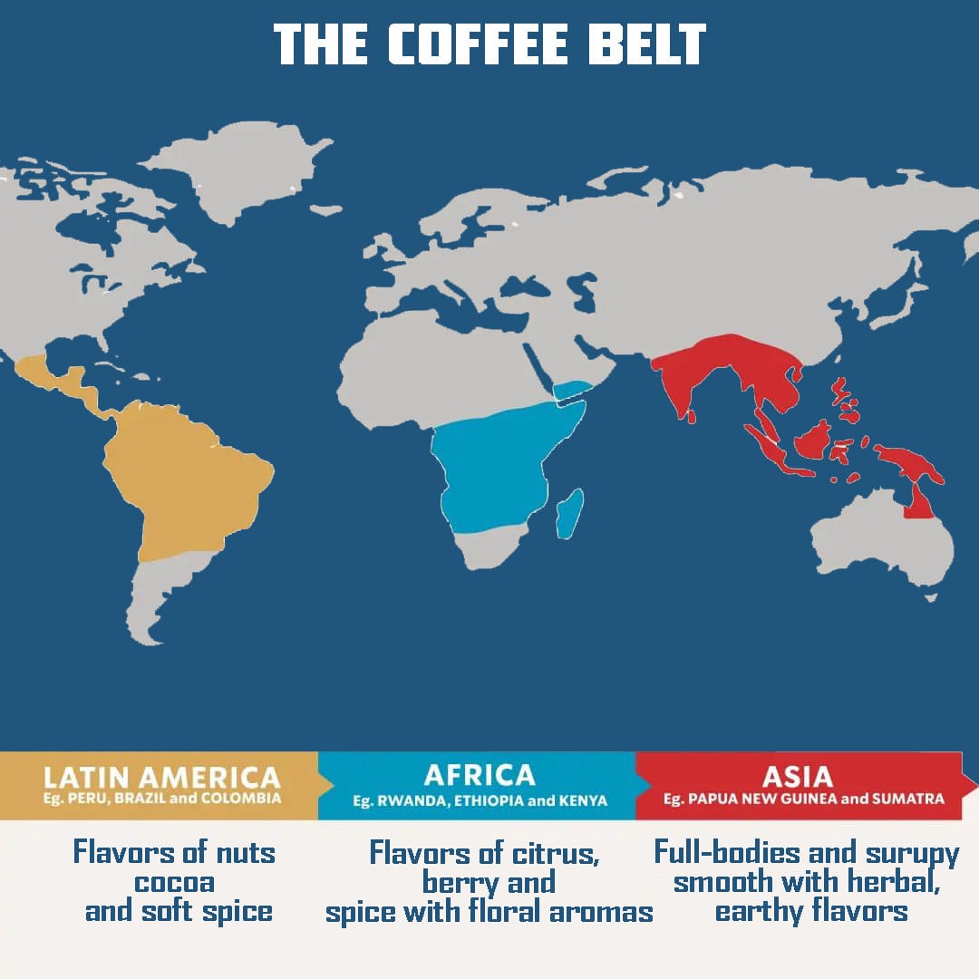 Where Does Coffee Come From? Coffee Bean Plant Revealed