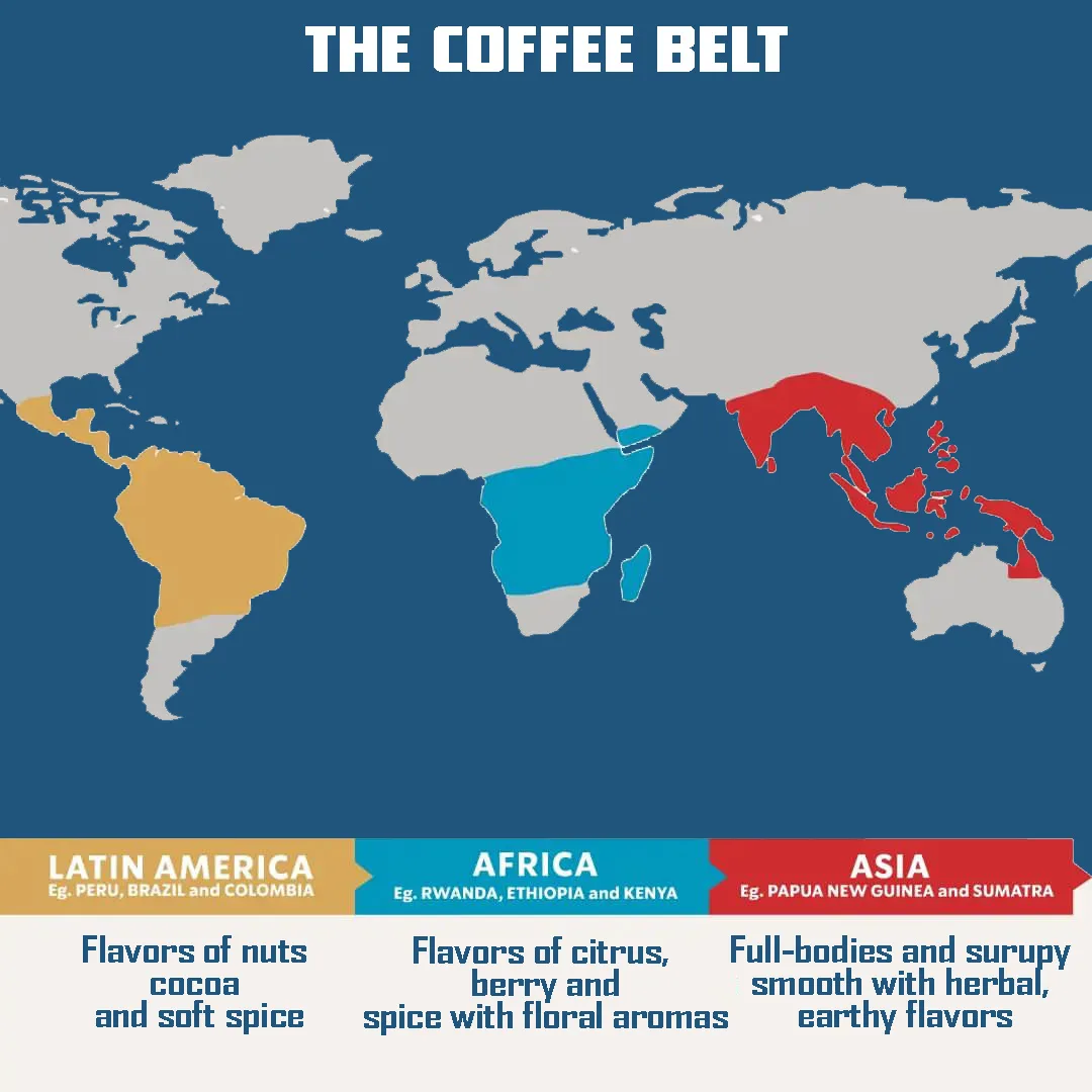 Coffee bean belt map