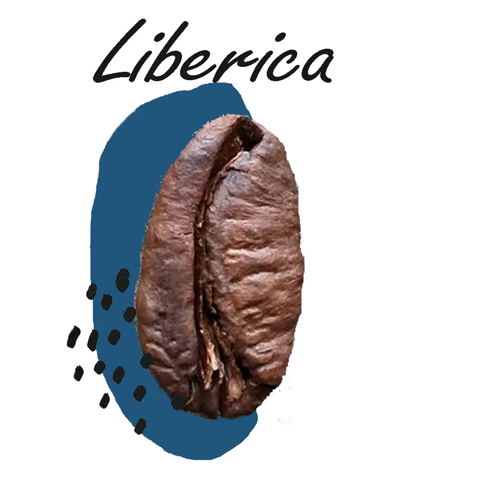 Liberica coffee bean