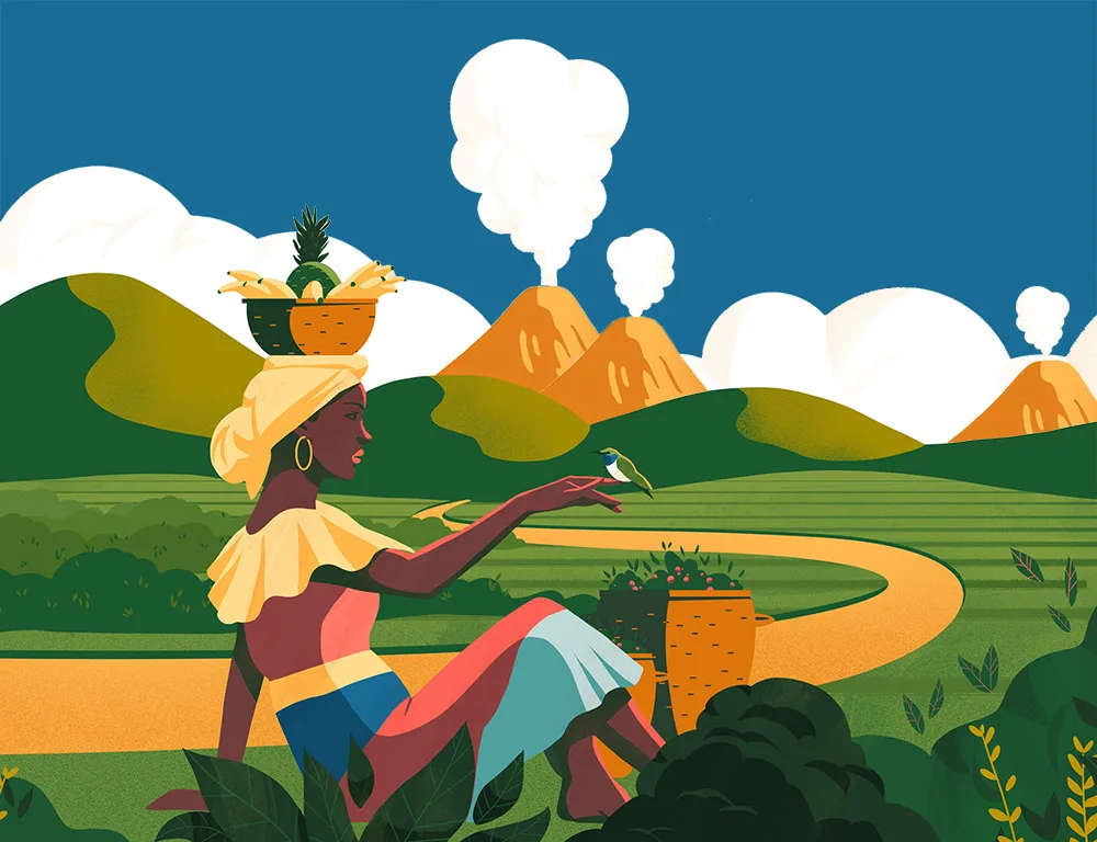 Ilustration of a coffee farmer at Pacific Ring of Fire